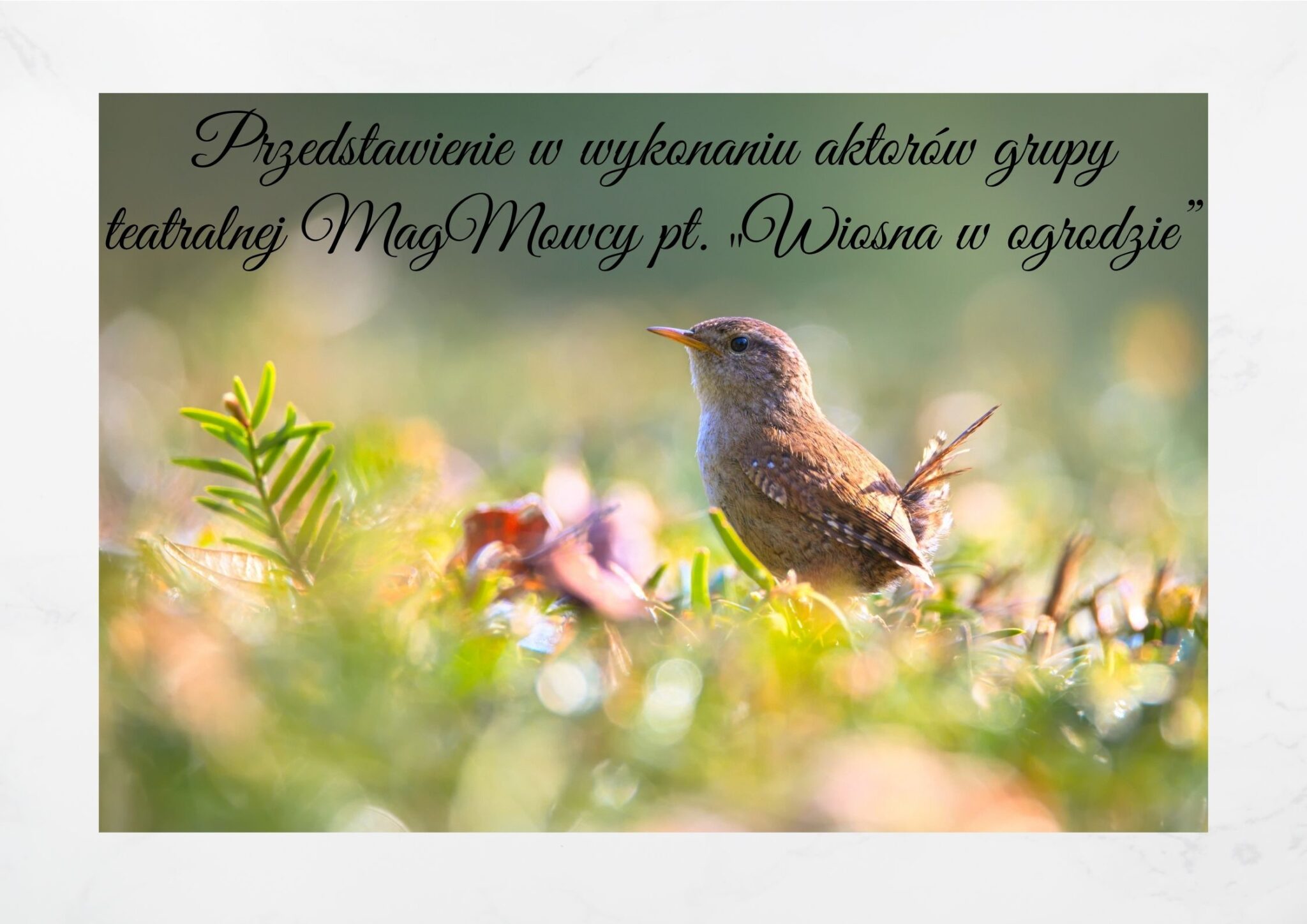 Read more about the article Przedstawienie w wykonaniu aktorów grupy teatralnej MagMowcy  pt. „Wiosna w ogrodzie”
