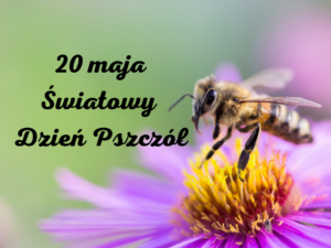 Read more about the article Światowy Dzień Pszczół