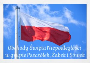 Read more about the article Obchody Święta Niepodległości  w grupie Pszczółek, Żabek i Sówek