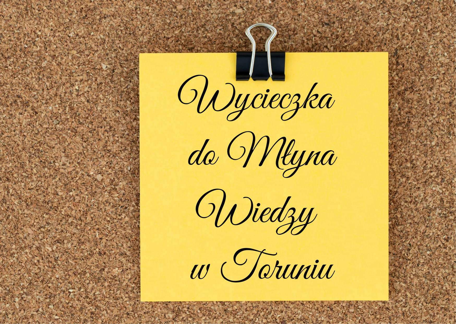 Read more about the article Wycieczka dzieci z grupy Żabki i Sówki do Młyna Wiedzy w Toruniu